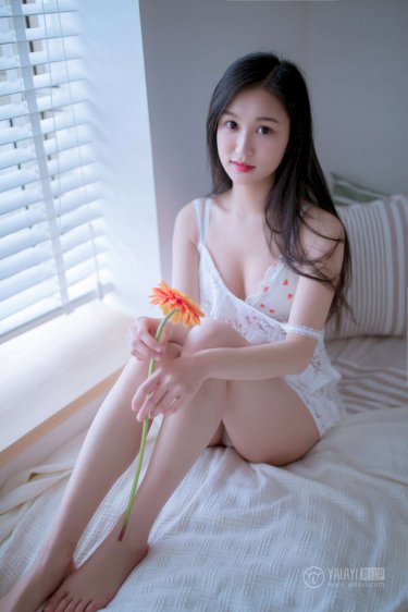 魂兽 动漫