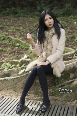 森林里的熊先生冬眠中樱花动漫
